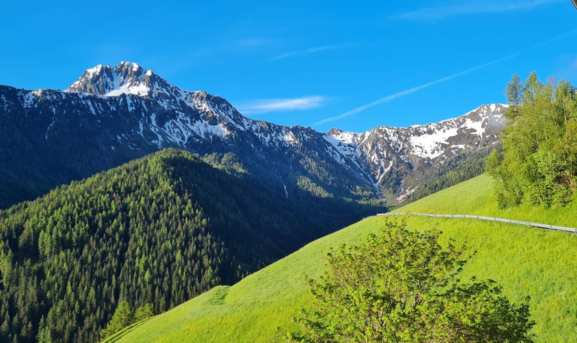 Gasserhof Campo di Trens Bagian luar foto